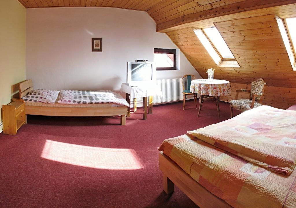 Penzion Eliska Praga Cameră foto